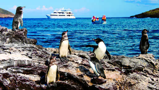 Christmas in Ecuador Galapagos 2015 - 5 day cruise on the Beluga Yacht