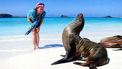 Christmas in Galapagos 2024 - 4 day cruise on the Millenium Yacht