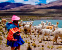 2025 Adventure Peru & Galapagos Land Based Tour