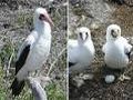 Tours Galapagos