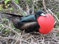 Tours Galapagos