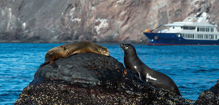 GALAPAGOS LUXURY CRUISES & PRIVATE CHARTERS 2024/2025